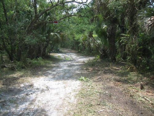 Harrison Road, Mims, FL 32754