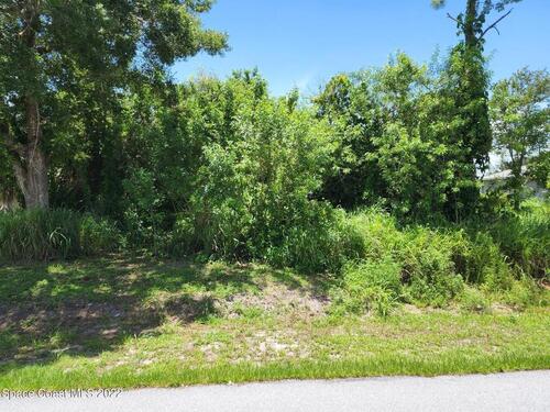 1368 Hedgecoth Street NW, Palm Bay, FL 32907