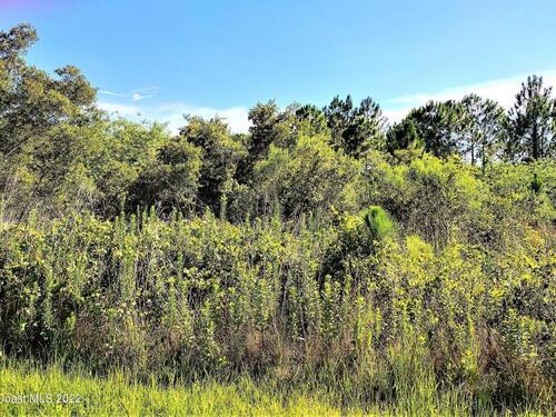 1190 Cogan Drive SE, Palm Bay, FL 32909