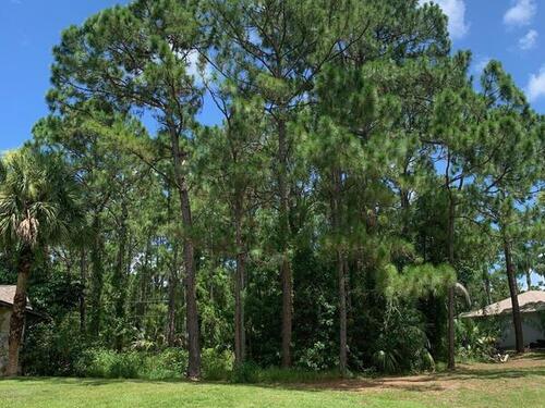 755 Scotia Avenue SW, Palm Bay, FL 32908