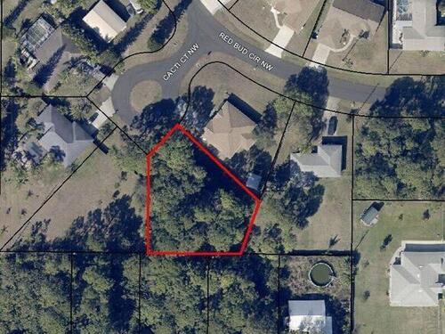 555 Cacti Court NW, Palm Bay, FL 32907