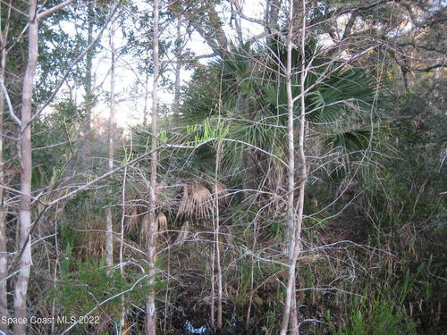 000 Unknown Road, Grant-Valkaria, FL 32950