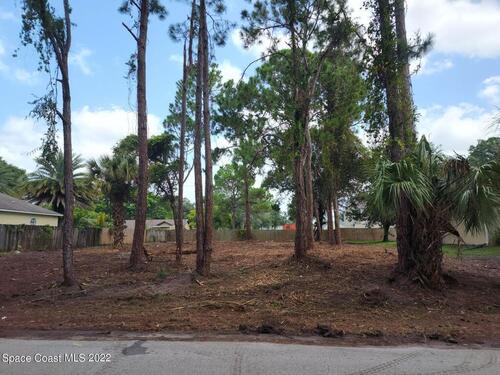 521 Bluefields Street SE, Palm Bay, FL 32909