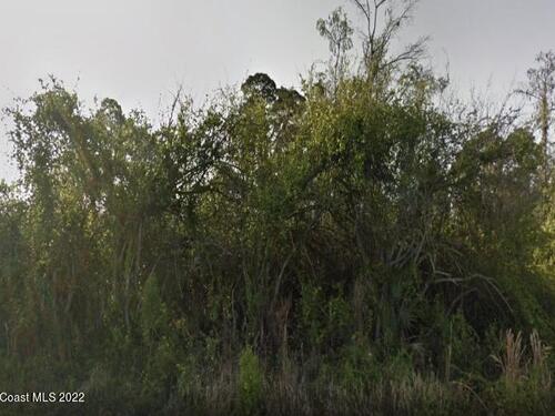 1430 Towton Street SE, Palm Bay, FL 32909