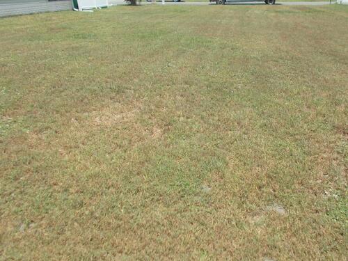 421 Kumquat Drive, Sebastian, FL 32976