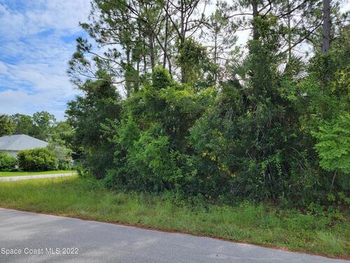 499 Consolata Avenue NW, Palm Bay, FL 32907