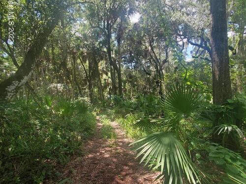 Doe Court, Titusville, FL 32780