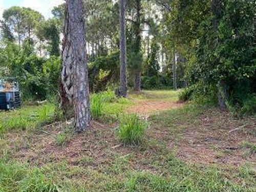 981 Commerce Road SE, Palm Bay, FL 32909