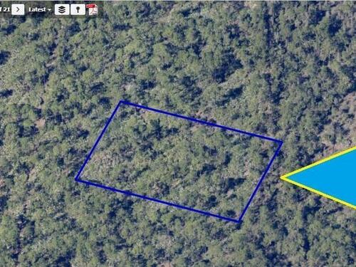 00000 No Access Ne Of Eagles & Grant Avenue, Grant-Valkaria, FL 32950