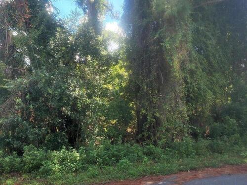 6901 Bentley Road, Cocoa, FL 32927