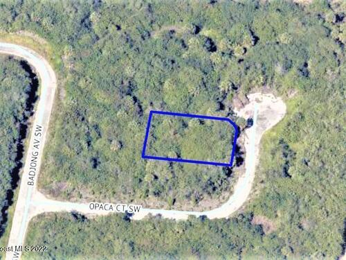 925 Opaca Court SW, Palm Bay, FL 32908