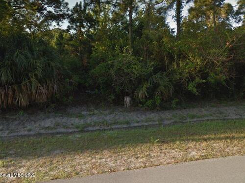 302 Falls Church Street SW, Palm Bay, FL 32908