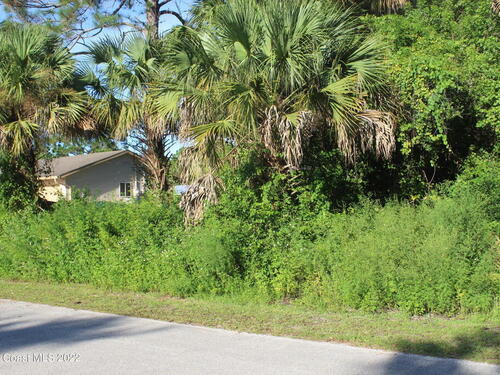 169 Hurtig Avenue NW, Palm Bay, FL 32907