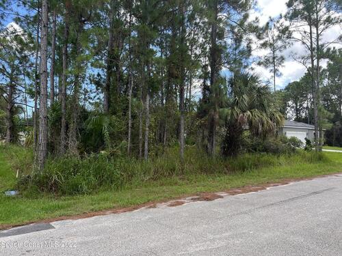 1071 Genesee Avenue SE, Palm Bay, FL 32909