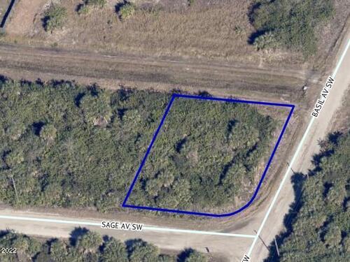0000 Sage/Basil Avenue, Palm Bay, FL 32908