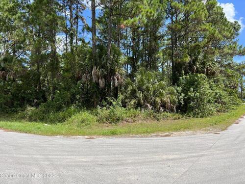 Tbd Corner Of Gardner Rd & Olin Rd, Palm Bay, FL 32908