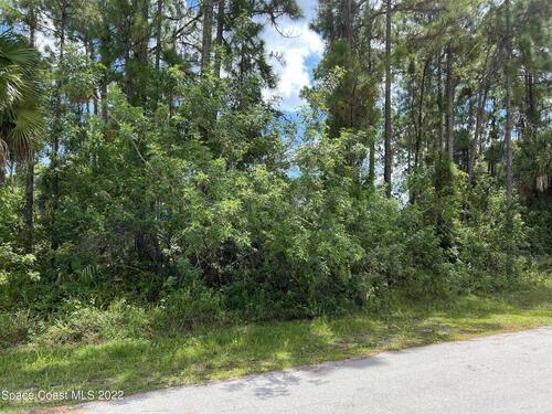 286 Gardner Road SW, Palm Bay, FL 32908