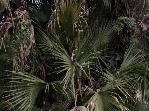 518 Lambert Street SW, Palm Bay, FL 32908