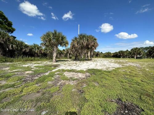 3029 Labrea Avenue SW, Palm Bay, FL 32908