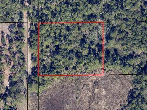 N. Of Valkaria (West Of Corey) Road, Grant-Valkaria, FL 32950