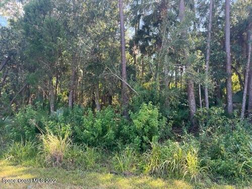00 00 State Road 520, Cocoa, FL 32926