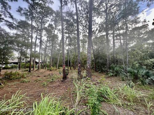 5021 Avocado Avenue, Cocoa, FL 32926