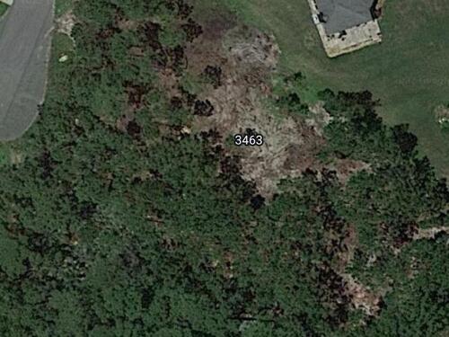 3463 Scrub Jay Court, Mims, FL 32754