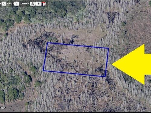 00000 No Access North Of Grant Road, Grant, FL 32949