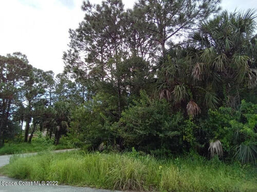 298 Brescia Street NE, Palm Bay, FL 32907