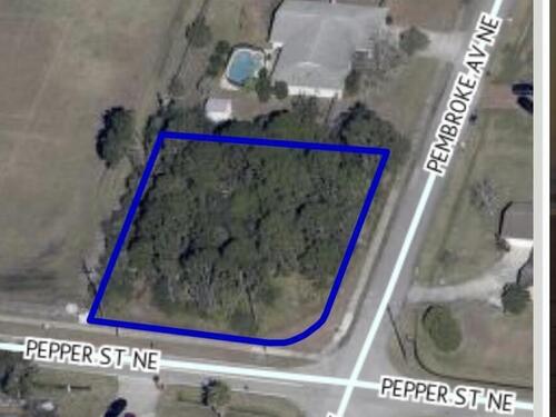 595 Pepper Street NE, Palm Bay, FL 32907