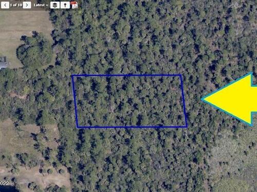 00000 No Access - Ne Of Weber&Reese Road, Malabar, FL 32950