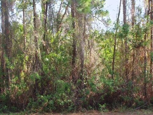 1639 Olympia Avenue SW, Palm Bay, FL 32908