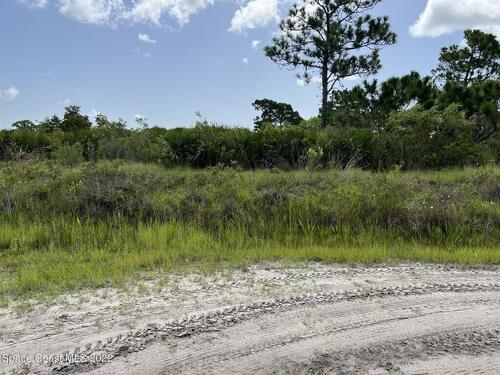 0000 Canvas Avenue, Grant-Valkaria, FL 32909