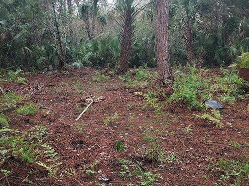 0000 Harrison Road, Mims, FL 32754