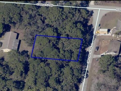490 Carolina Avenue NW, Palm Bay, FL 32907