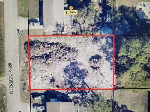 867 Cornelia Avenue SE, Palm Bay, FL 32909