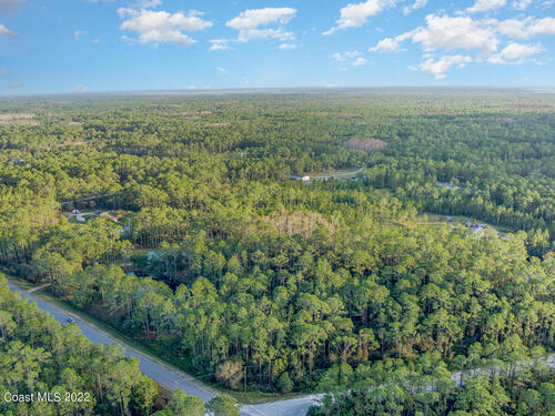 1185 Gopher Slough Road, Mims, FL 32754