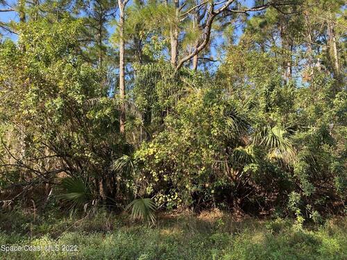 998 Ulster Avenue SE, Palm Bay, FL 32909