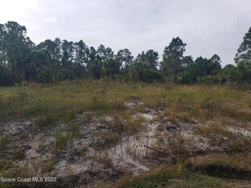 172 Franzing Street, Palm Bay, FL 32908