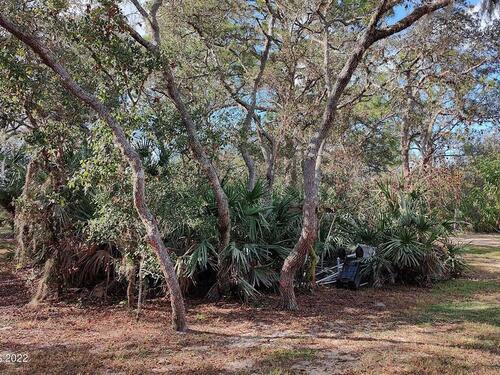 5225 Burgess Avenue, Cocoa, FL 32927