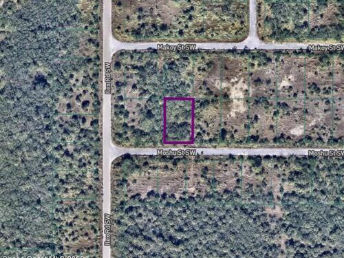 1291 Moshu Street SW, Palm Bay, FL 32908