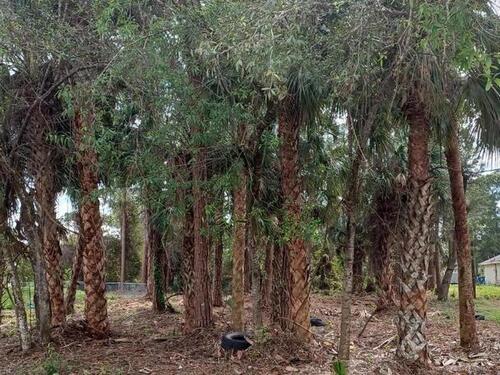 998 Serenade Street NW, Palm Bay, FL 32907