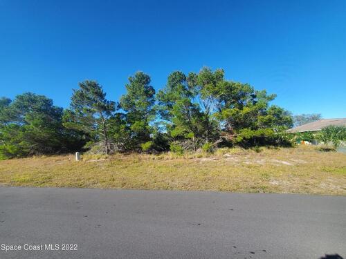 Lot 14 14th Street, Micco, FL 32976