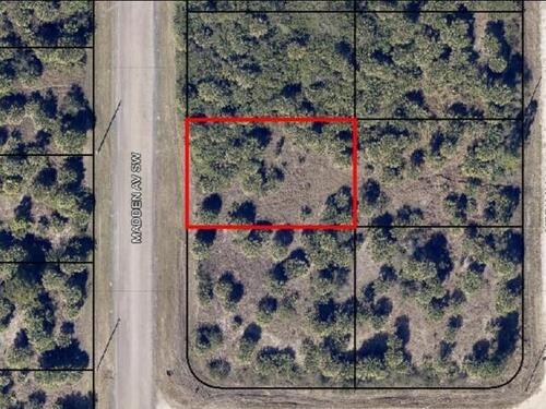 2991 Madden Avenue SW, Palm Bay, FL 32908