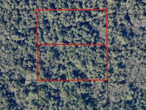 Canaveral Groves (W. Of I-95), Cocoa, FL 32927