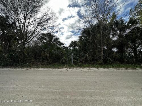 0000 Cangro Street, Cocoa, FL 32926