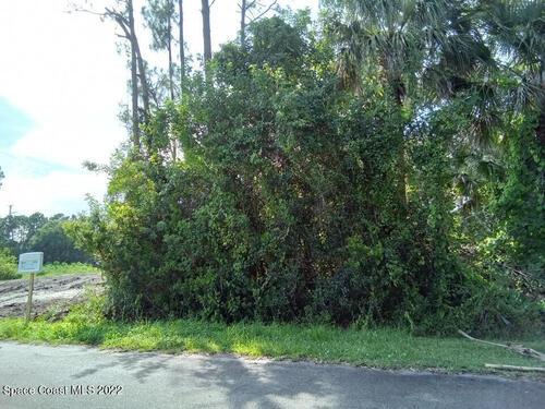 786 Daniels Avenue SW, Palm Bay, FL 32908