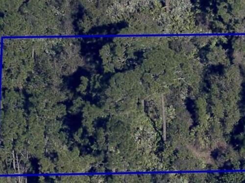 1361 Vandalia Avenue SE, Palm Bay, FL 32909