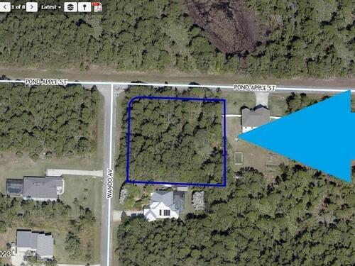 00000 SE Corner Of Pond Apple Street Street, Grant, FL 32949