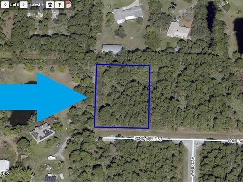 4200 Pond Apple Street, Grant-Valkaria, FL 32949
